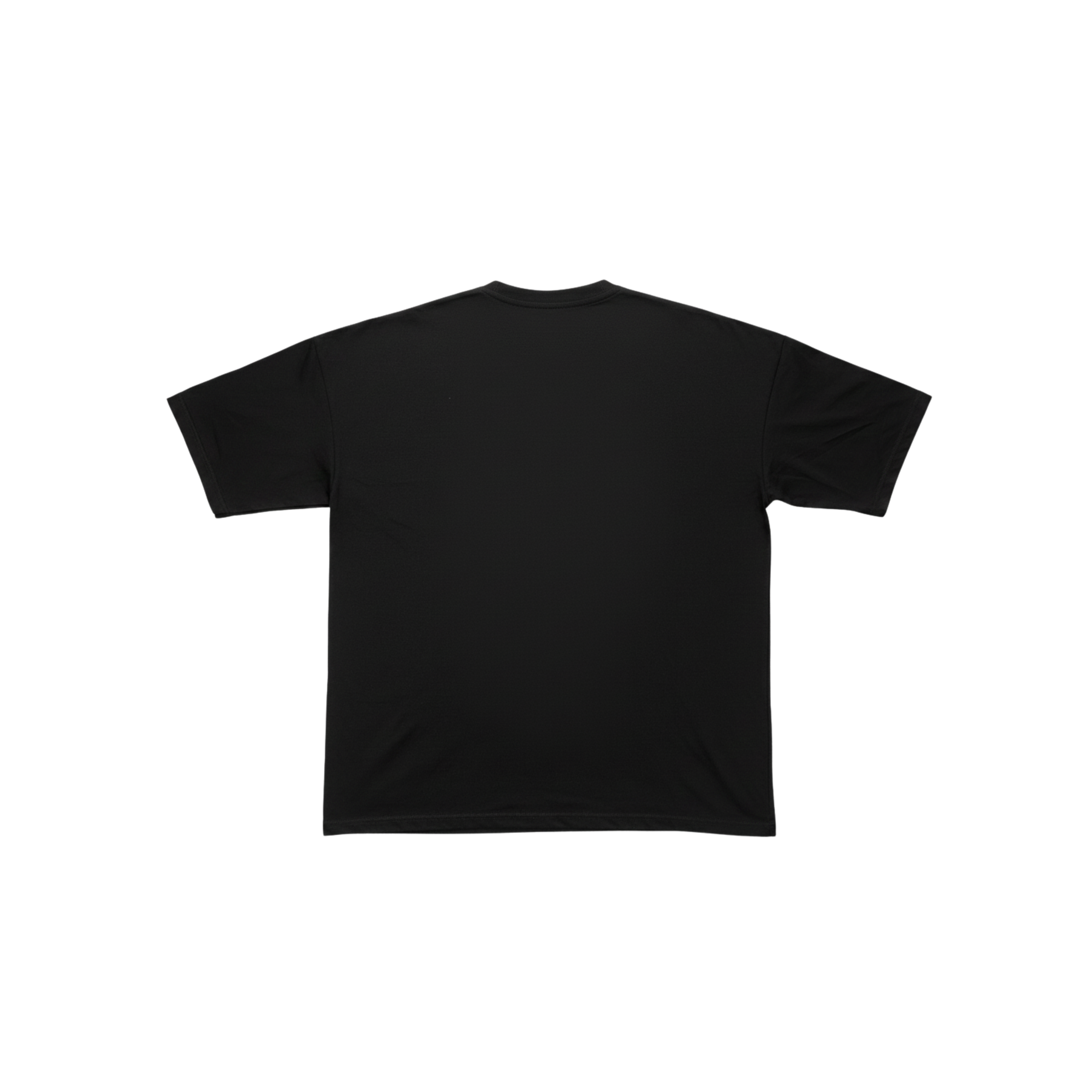 Embroided horse Cotton T Shirt